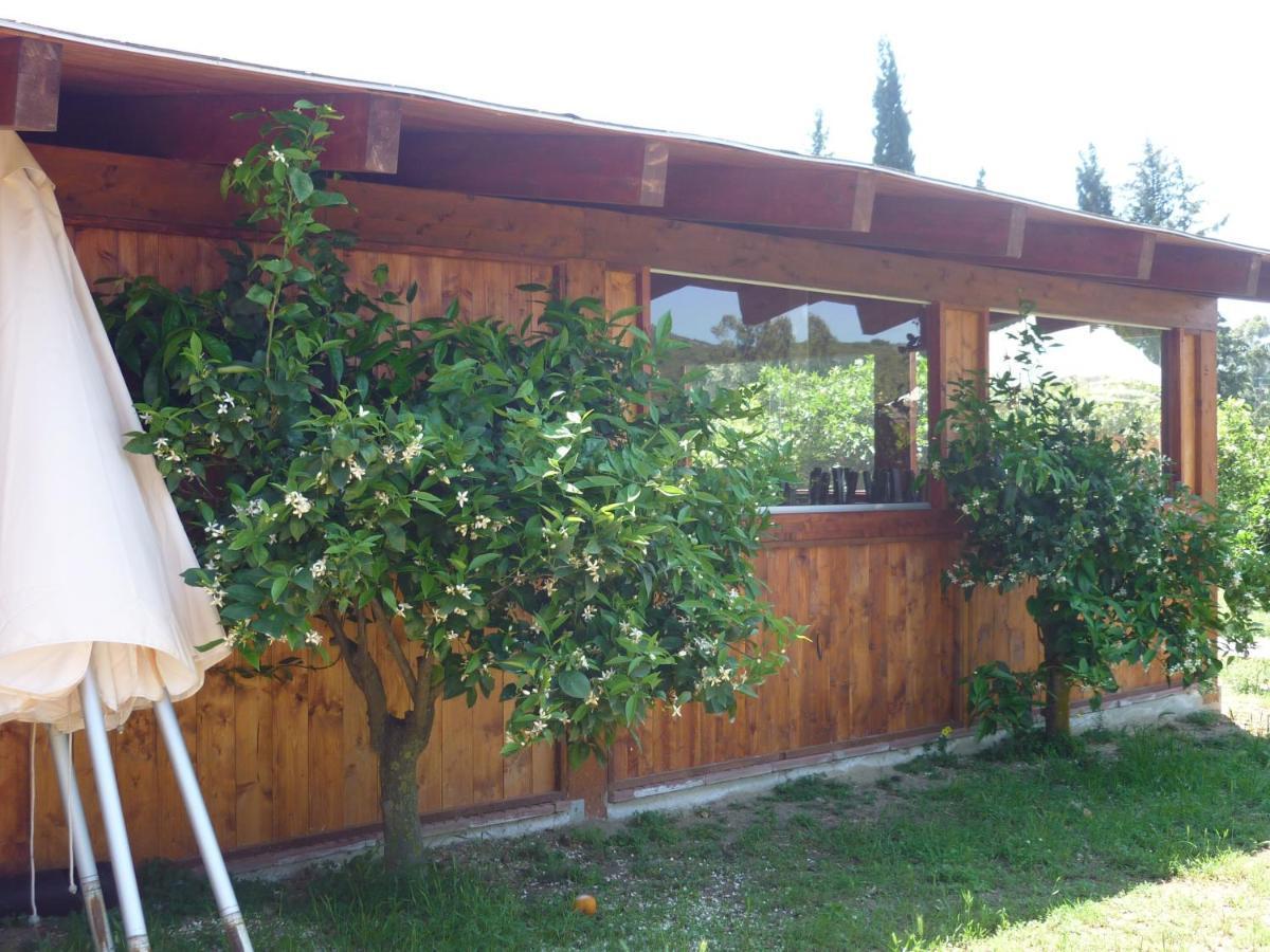 Il Frutteto Bed and Breakfast Torre delle Stelle Exteriör bild